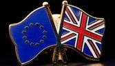 Brexit flag pins